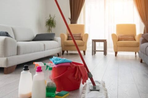 House Cleaning